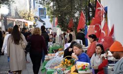 Muğla'da "Bodrum Mandalin Festivali" düzenlendi