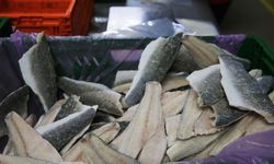Muğla'dan 11 ayda 700 milyon dolarlık balık ihracatı yapıldı