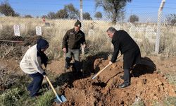 Muhtarın talebiyle Elazığ'ın Beydalı köyünde 1000 fidan toprakla buluştu