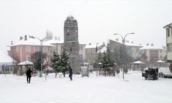 Tokat'ın ilçelerinde kar yağışı etkili oldu