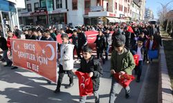 Van'da "Şehitleri Anma ve Teröre Lanet" yürüyüşü düzenlendi