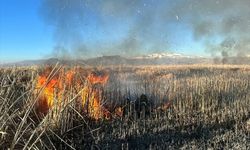 Yüksekova Nehil Sazlığı'nda çıkan yangına müdahale ediliyor