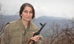 PKK'nın cephane sorumlusu etkisiz hale getirildi