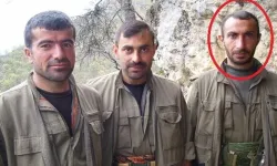 MİT, PKK/YPG'nin sözde sorumlularından Şirvan Hasan'ı Suriye'de etkisiz hale getirdi