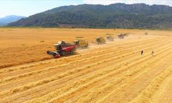  Tarım-ÜFE ocak ayında yıllık yüzde 57,85 artış gösterdi