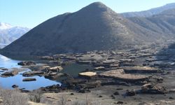 Adıyaman'da "yüzen adalar"ın korunmasına yönelik çalışma yapılıyor