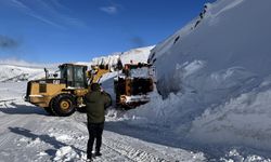 Ardahan-Artvin kara yoluna çığ düştü