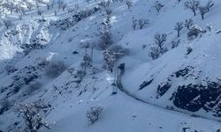 Batman'da yolu kar nedeniyle kapanan mezrada rahatsızlanan kişi ekiplerce hastaneye ulaştırıldı