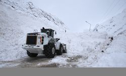 Çığ nedeniyle kapanan Hakkari-Çukurca kara yolu açıldı