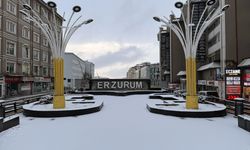 Erzurum, Ardahan, Ağrı ve Tunceli'de kar yağışı etkili oldu