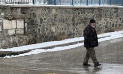 Erzurum'da soğuk hava yerini kar yağışına bıraktı