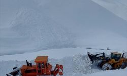 Hakkari'de kar kalınlığının 5 metreyi bulduğu bölgede çalışmalar sürüyor