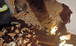 Kırklareli'nde iki duvar arasına sıkışan köpeği itfaiye ekipleri kurtardı
