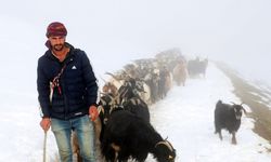 Muş'ta besiciler karlı yolları aşarak küçükbaş hayvan sürülerini köye ulaştırdı