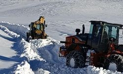 Şırnak'ta kardan kapanan köy yolunun ulaşıma açılmasına çalışılıyor