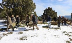 Spil Dağı'nda yaban hayvanları için doğaya yem bıraktı