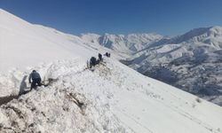 Su şebekeleri çığdan zarar gören mahalleli, başka kaynaktan hat çekerek evlere su ulaştırdı