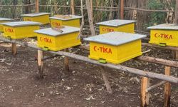 TİKA, Etiyopya'daki arıcılara modern ekipman desteği sağladı
