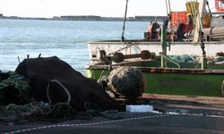 Zonguldak'ta balıkçıların ağına deniz mayını takıldı