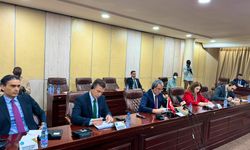 Dışişleri Bakan Yardımcısı Yıldız, Mali'de bakanlarla 'olası iş birliklerini' konuştu