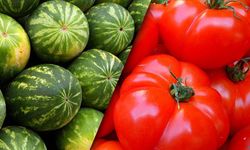 Ankara'da 2023 yılında en çok 'karpuz' ve 'domates' tüketildi