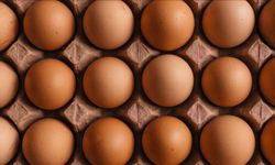 Türkiye'den ithal edilen yumurtalar Rusya'ya ulaştı