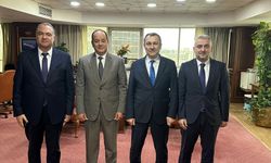 BOTAŞ ile Mısır'ın milli şirketi EGAS doğal gazda işbirliği imkanlarını görüştü