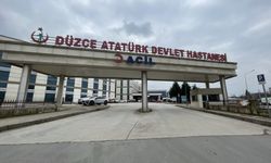 Düzce'de iş yerinde ilaçlama yaparken fenalaşan işçi hastaneye kaldırıldı