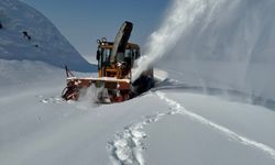 Hakkari'de kapalı köy yolları açılıyor