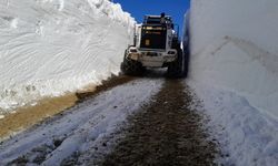 Hakkari'de kar nedeniyle kapanan üs bölgelerinin yolu açıldı