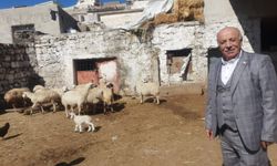 Kayseri'de koyunları telef olan besici kardeşlere iş insanları destek verdi