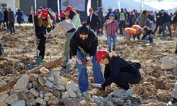 Muğla'da kapanan maden sahasında 2 bin fidan toprakla buluşturuldu