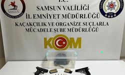 Samsun'da bir evde boa yılanı ele geçirildi