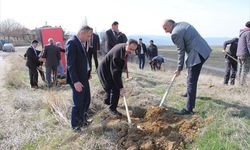 Yalıhüyük'te fidan dikimi yapıldı