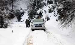 Yalova'da şahin ve kuzgunların yem kapma mücadelesi fotokapanla görüntülendi