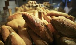 Un sanayicileri uyardı! Buğdaya yapılan her zam ekmek fiyatlarını etkileyebilir