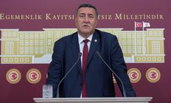 Ömer Fethi Gürer: AKP yönetiminde, kanatın fiyatı tavuğun fiyatını geçti