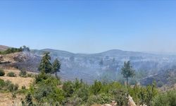 Orman Genel Müdürlüğü'nden Milas açıklaması: Görüntüler yangın bölgesinden değil