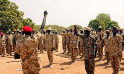Nijerya ordusu darbe girişimi iddialarının gerçek olmadığını bildirdi