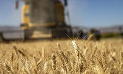 Tarım-ÜFE şubat ayında yıllık yüzde 58,29 arttı