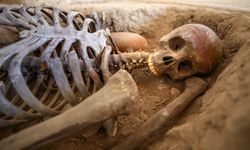 Çatalhöyük'te 8 bin 600 yıllık "ekmek" bulundu