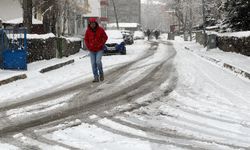 Erzurum, Ardahan ve Kars'ta kar yağışı etkili oluyor