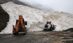 Hakkari-Çukurca kara yolu çığ nedeniyle kapandı