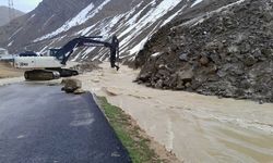 Hakkari'de etkili olan karla karışık yağmur, heyelan ve taşkınlara yol açtı