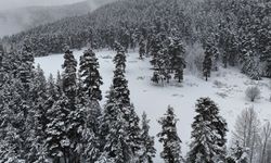 Karla kaplanan Ardahan, Erzurum ve Kars'ta soğuk hava hakim