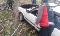 Mardin'de devrilen otomobildeki 2 kişi yaralandı