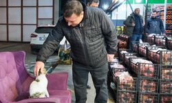 Odunpazarı Belediye Başkan adayı Alp, sahipsiz hayvanlara yönelik projesini anlattı