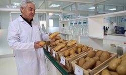 Ömrünü tohumculuğa adayan girişimci 23 çeşit yerli patates tohumunu tarıma kazandırdı