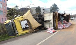 Ordu'da hafif ticari araç ile tırın çarpıştığı kazada 2 kişi yaralandı