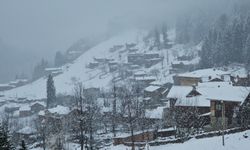 Rize'nin yüksek kesimlerine kar yağdı